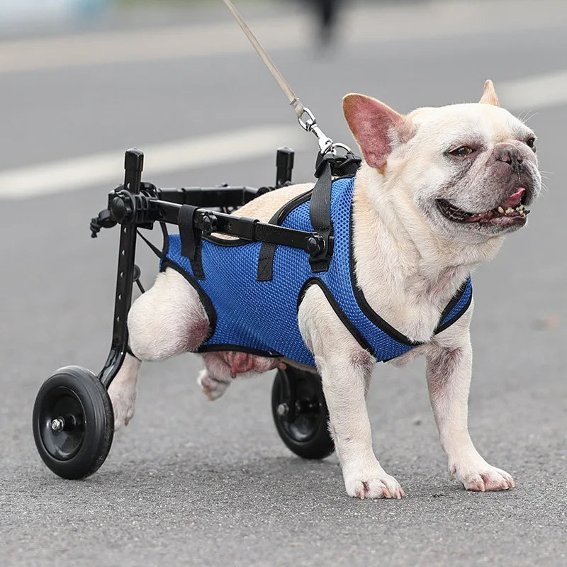 Adjustable Wheelchair Disabled Pets