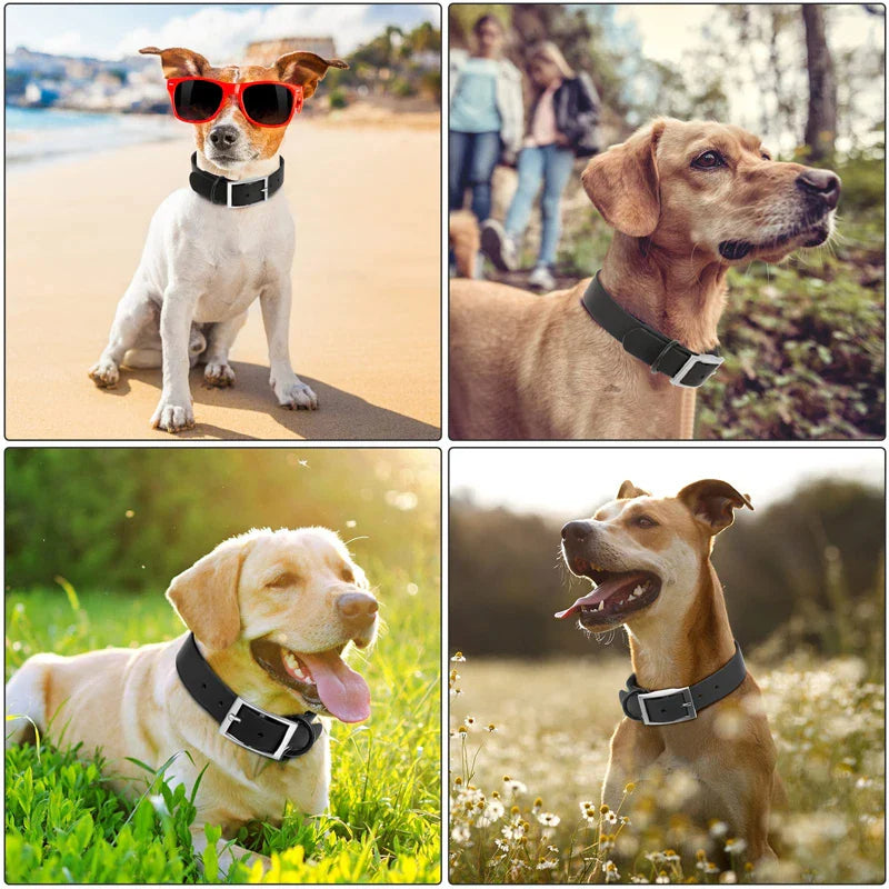Adjustable Waterproof Dog Collar