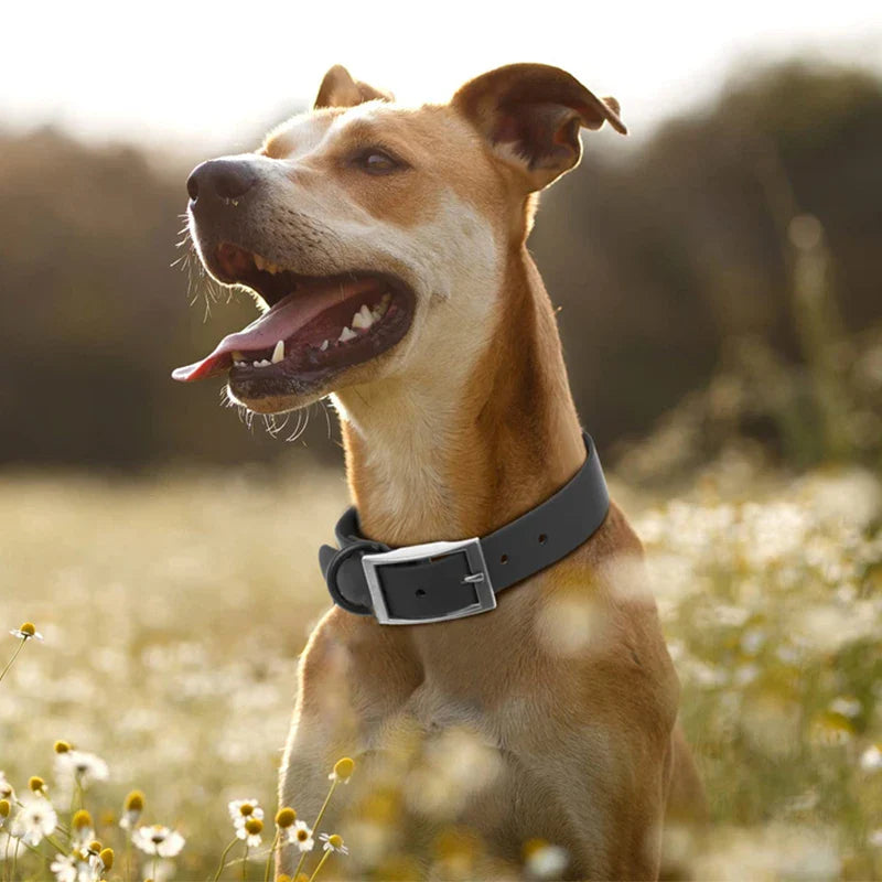 Adjustable Waterproof Dog Collar