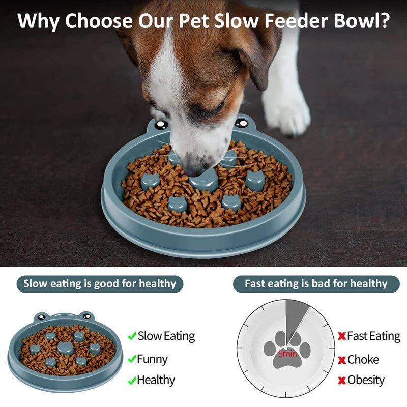Eco-Friendly Slow Feed Bowl (Dogs, Cats)