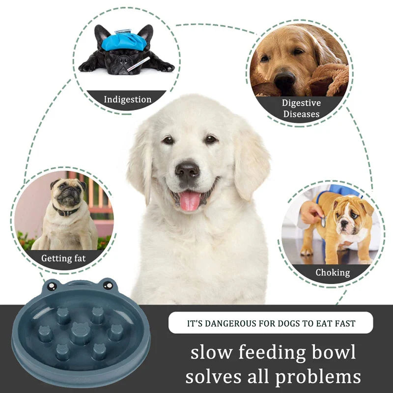 Eco-Friendly Slow Feed Bowl (Dogs, Cats)