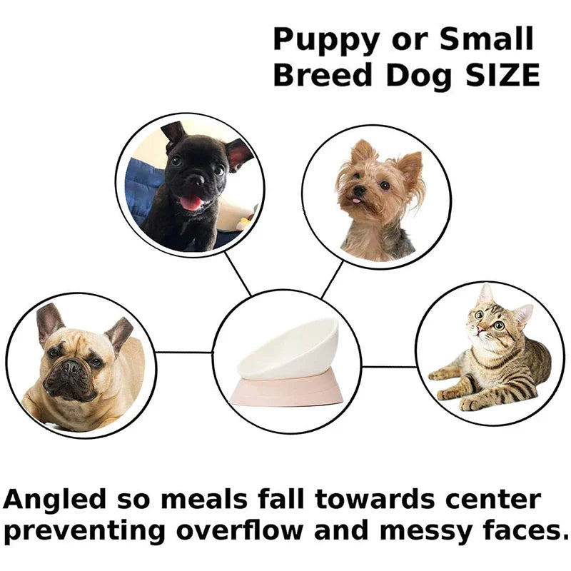 Adjustable Tilted & Raised Pet Bowl with Stand