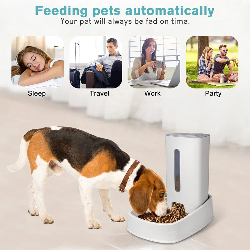 3.8L Auto Pet Feeder For Pets