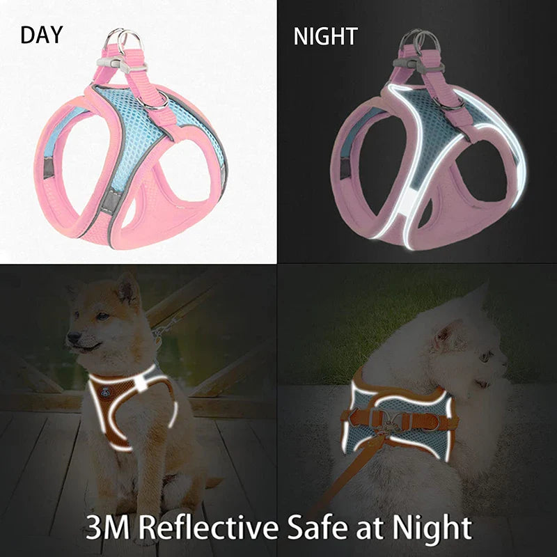Reflective Breathable No Pull Harness Set