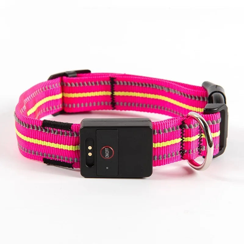 Comfortable USB Rechargeable LED Dog Collar