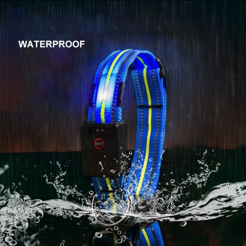 Comfortable USB Rechargeable LED Dog Collar
