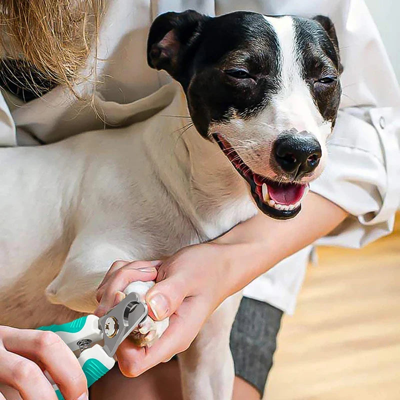 Safe Dog Nail Clippers
