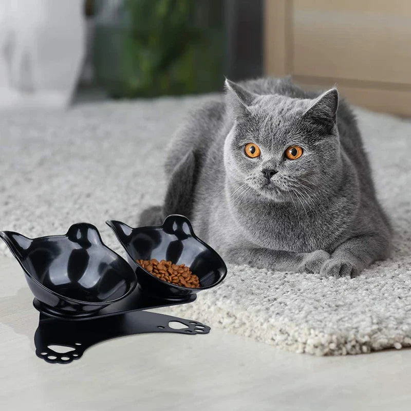 Eco-Friendly Raised Cat Bowls