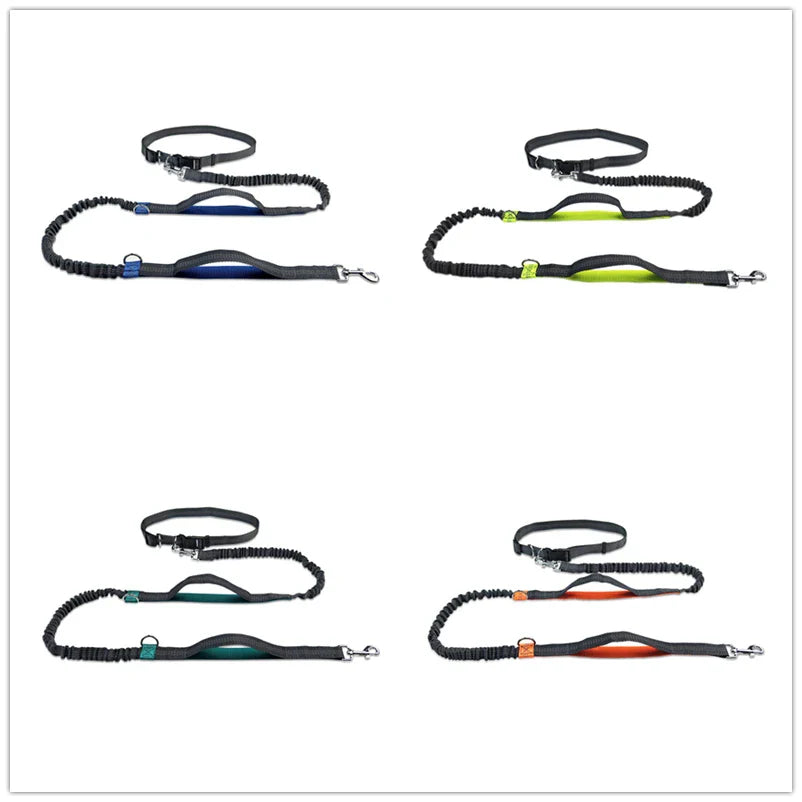 Hands-Free Dog Leash with Dual Handles