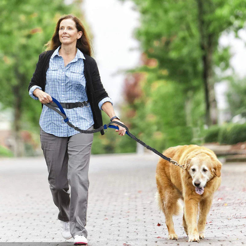 Hands-Free Dog Leash with Dual Handles