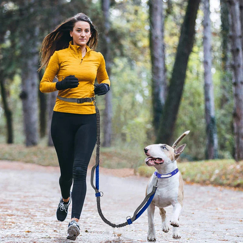 Hands-Free Dog Leash with Dual Handles