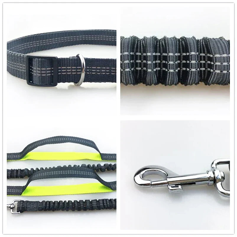 Hands-Free Dog Leash with Dual Handles