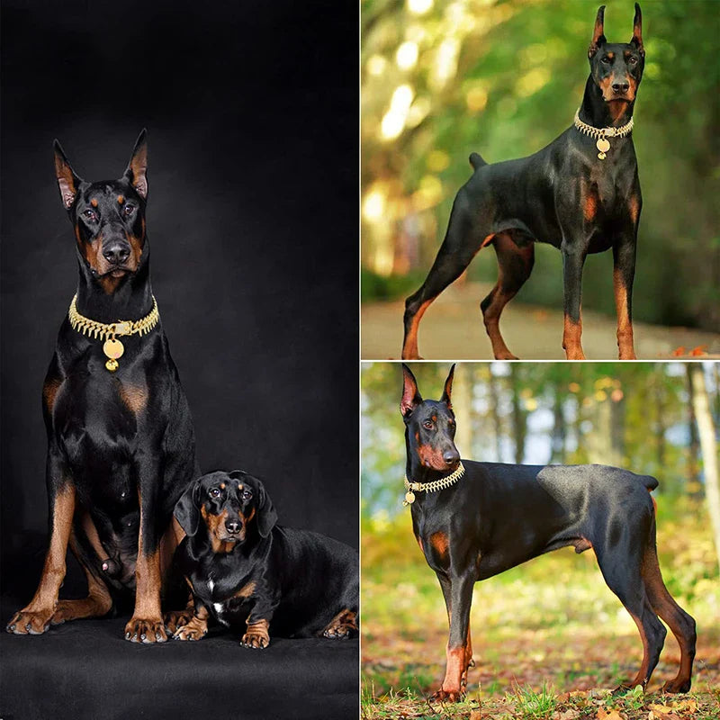 Gold Bling Dog Collar (CZ Diamonds)
