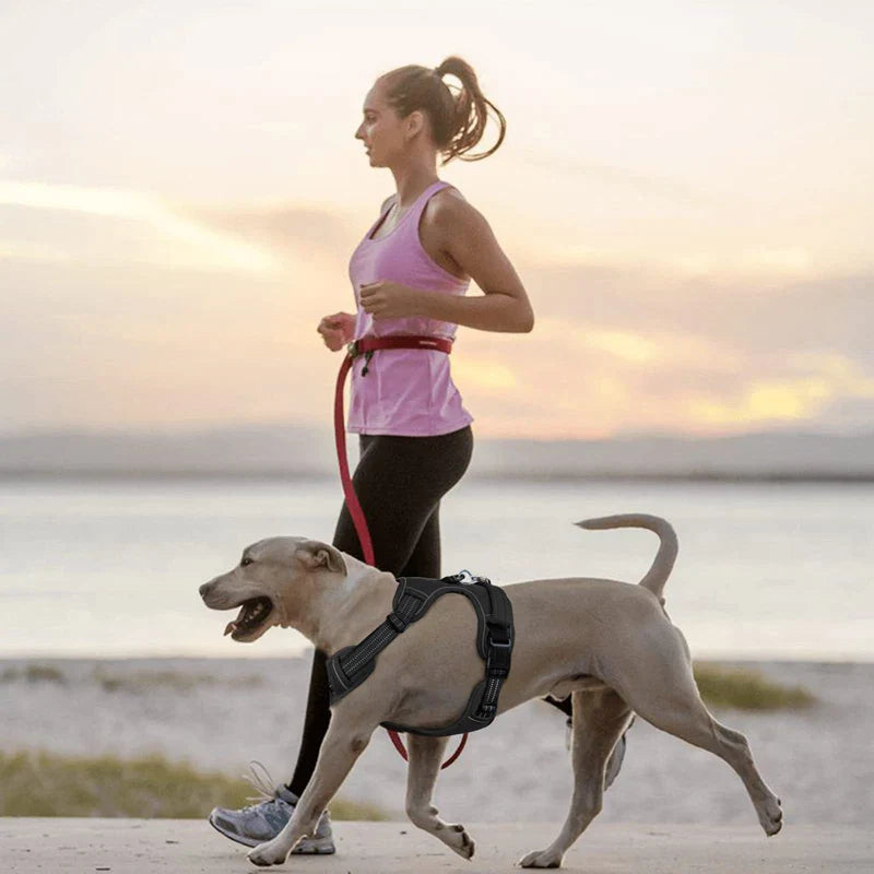 Breathable No Pull Harness (Reflective)