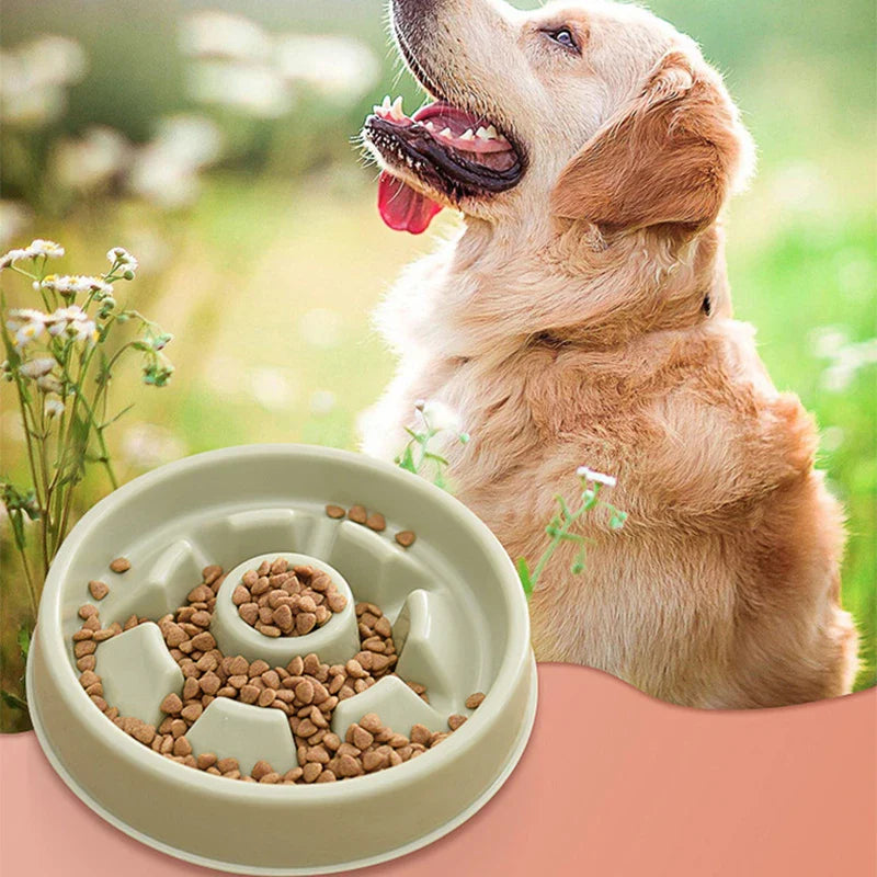 Anti-Choke Slow Feed Dog Bowl