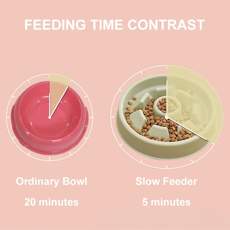 Anti-Choke Slow Feed Dog Bowl