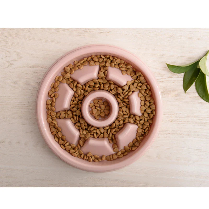 Anti-Choke Slow Feed Dog Bowl