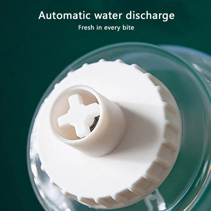 Eco-Friendly Auto Pet Feeder/Waterer