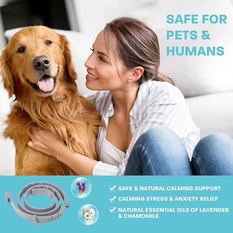 Effective Calming Dog Collar