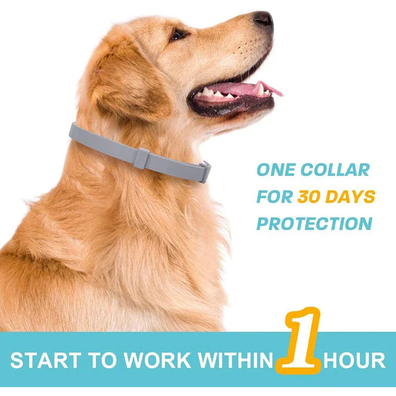 Effective Calming Dog Collar