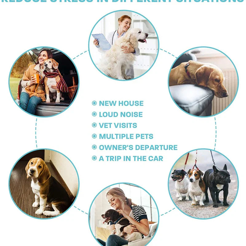 Effective Calming Dog Collar
