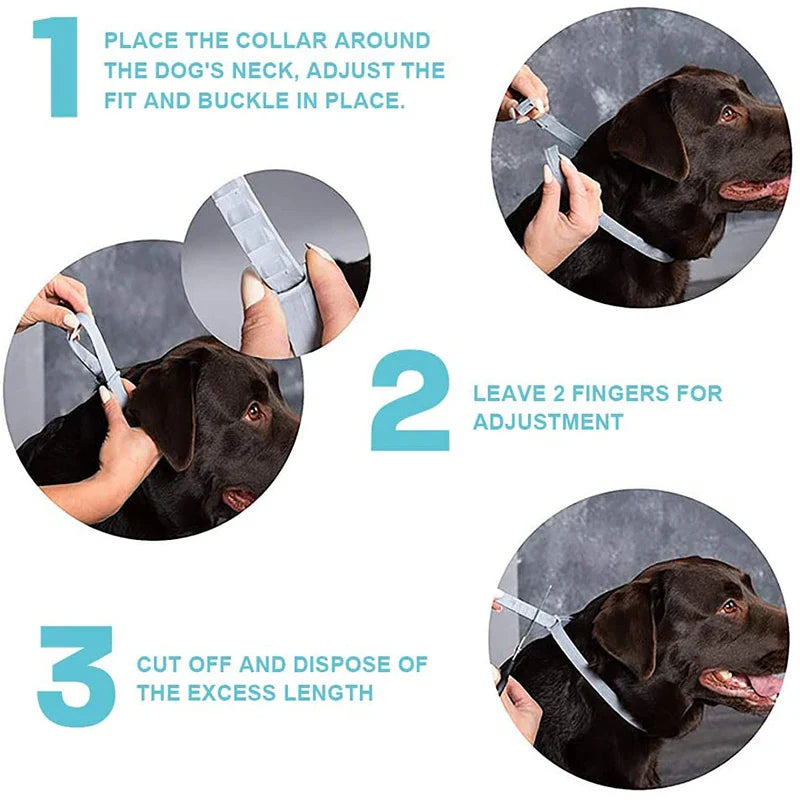 Effective Calming Dog Collar