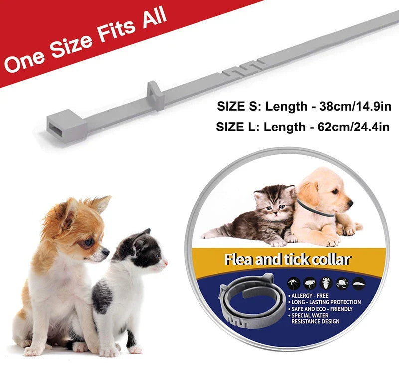 Long-lasting Flea & Tick Collar