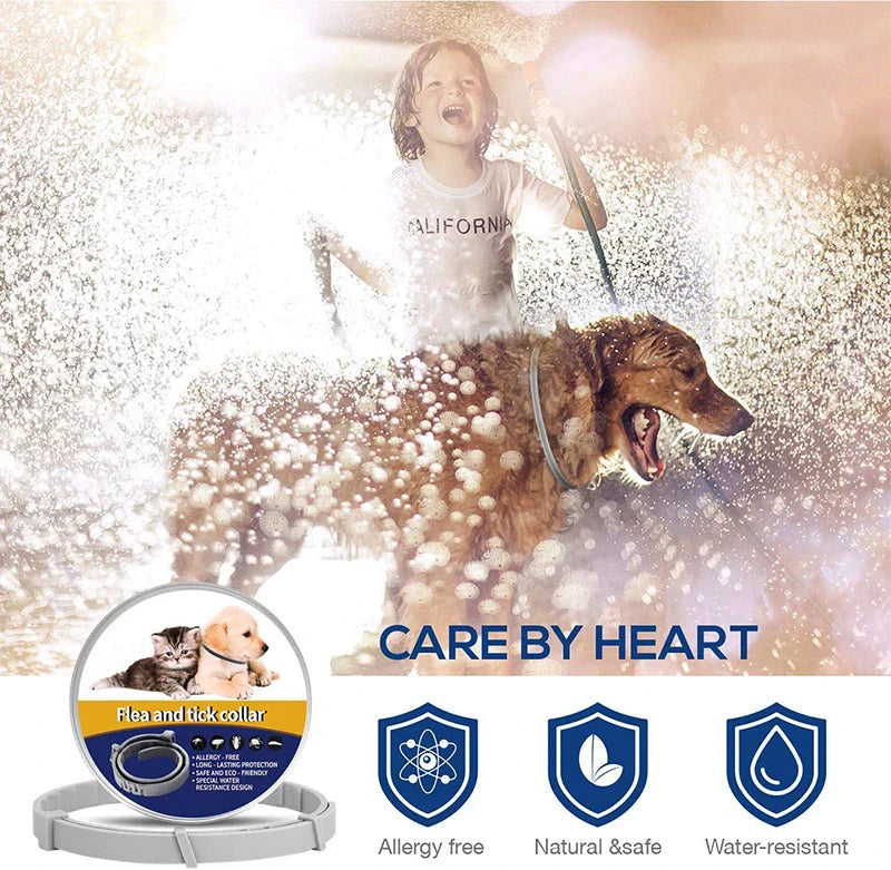 Long-lasting Flea & Tick Collar
