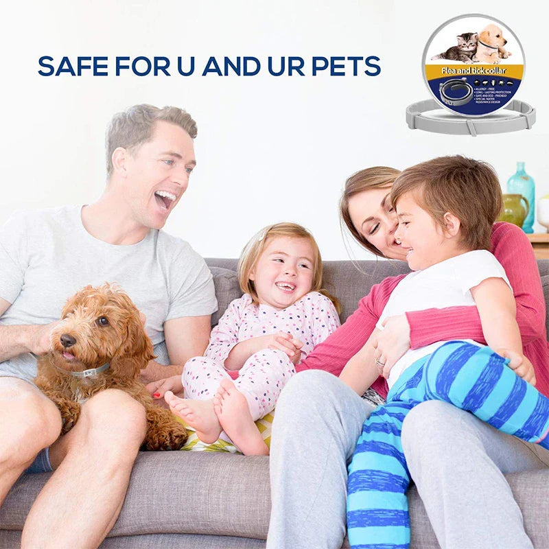 Long-lasting Flea & Tick Collar