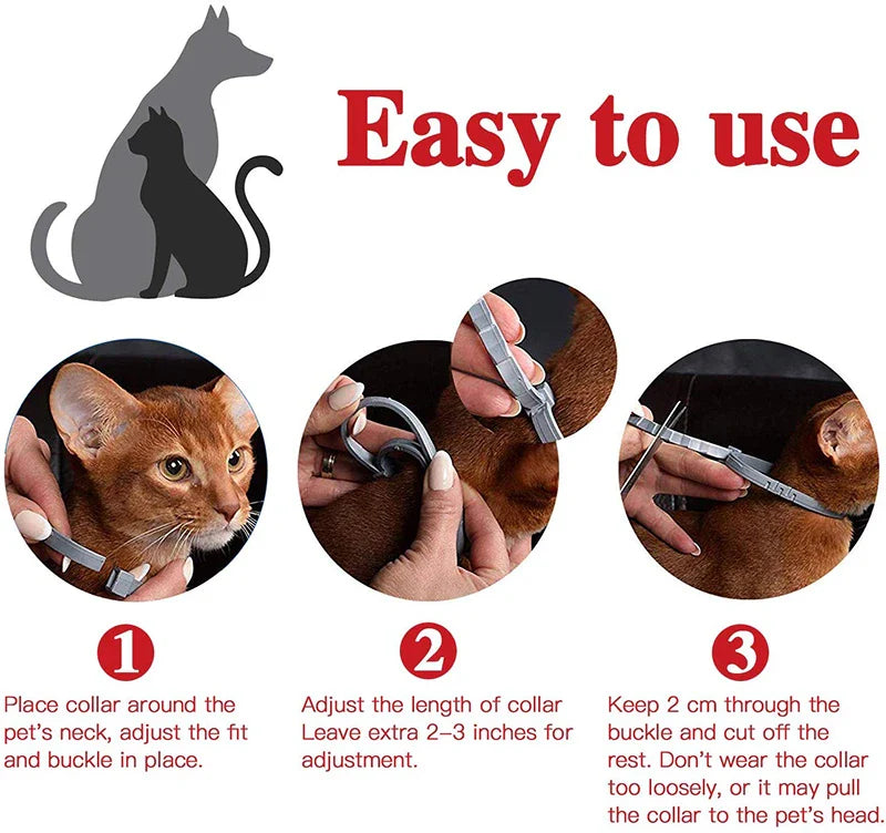 Long-lasting Flea & Tick Collar