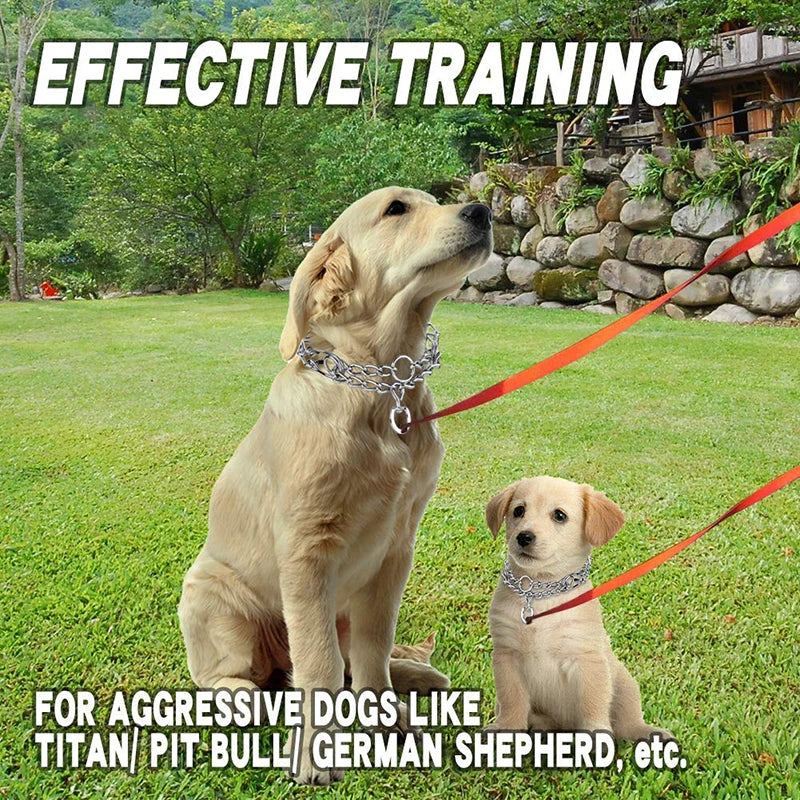 Effective Pinch Dog Training Collar