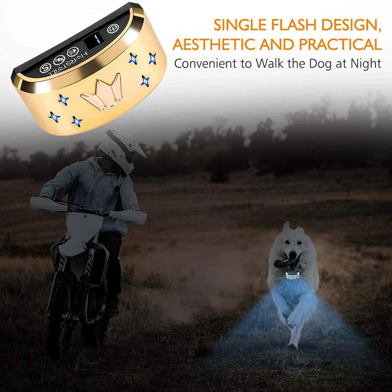 USB Rechargeable Electric Dog Training Collar