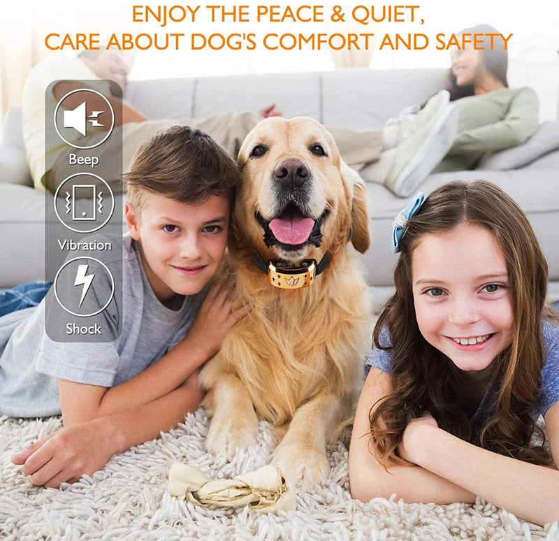 USB Rechargeable Electric Dog Training Collar