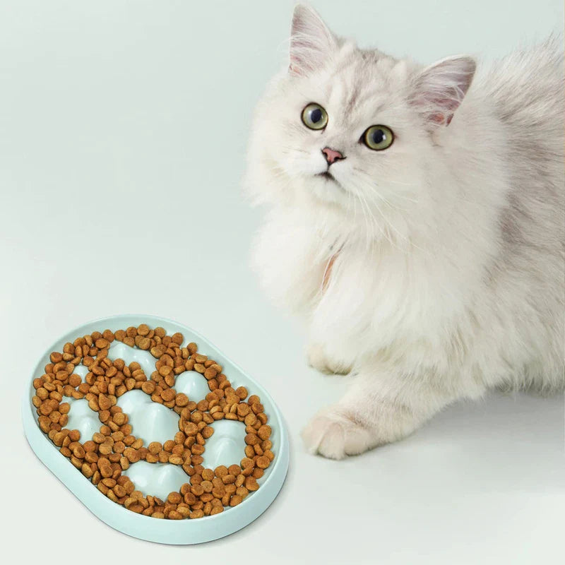 Interactive Non-Slip Slow Feeder Dog Bowl
