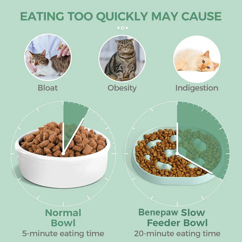 Interactive Non-Slip Slow Feeder Dog Bowl