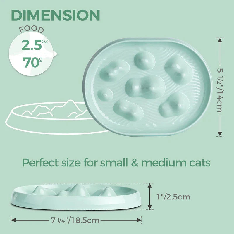 Interactive Non-Slip Slow Feeder Dog Bowl