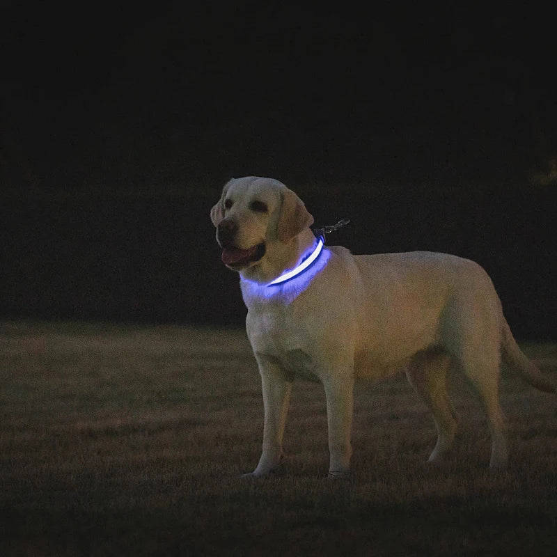 USB Charge LED Reflective Dog Collar