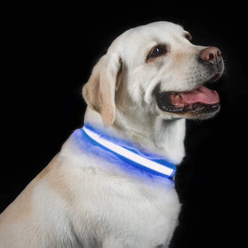 USB Charge LED Reflective Dog Collar