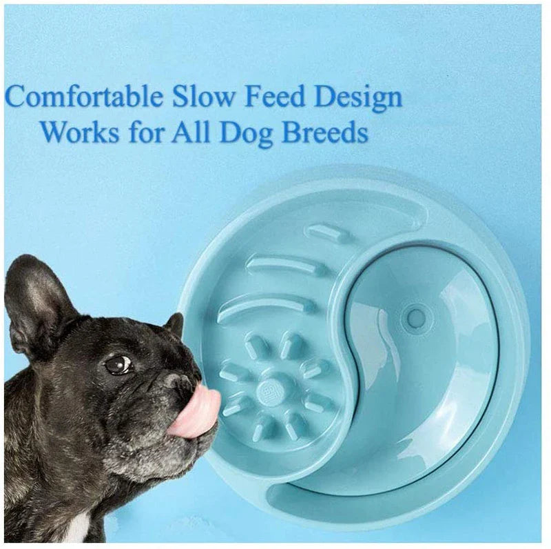 2-in-1 Slow Feeder Dog Bowl