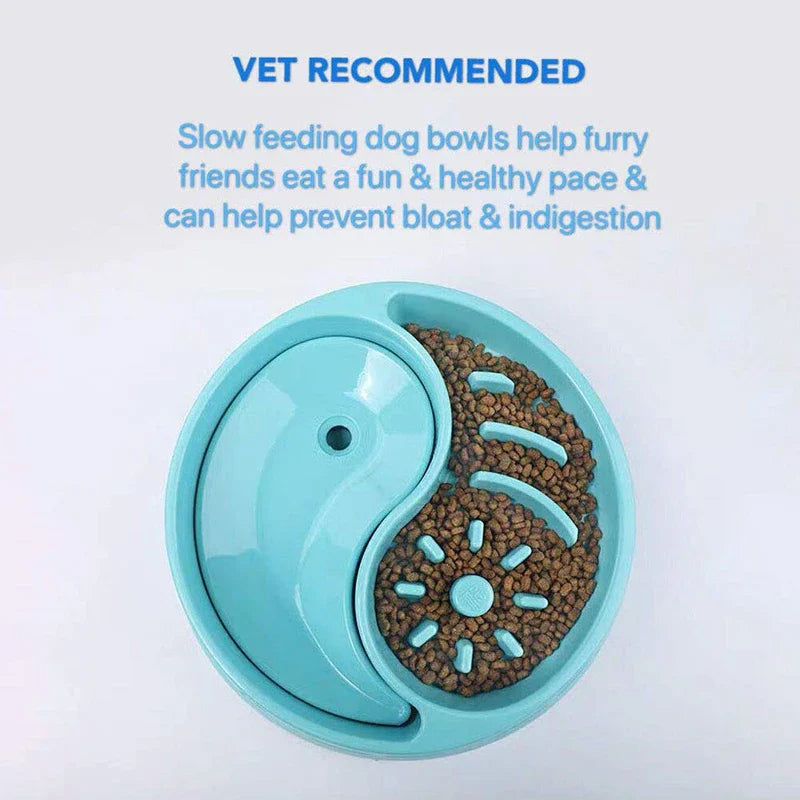 2-in-1 Slow Feeder Dog Bowl