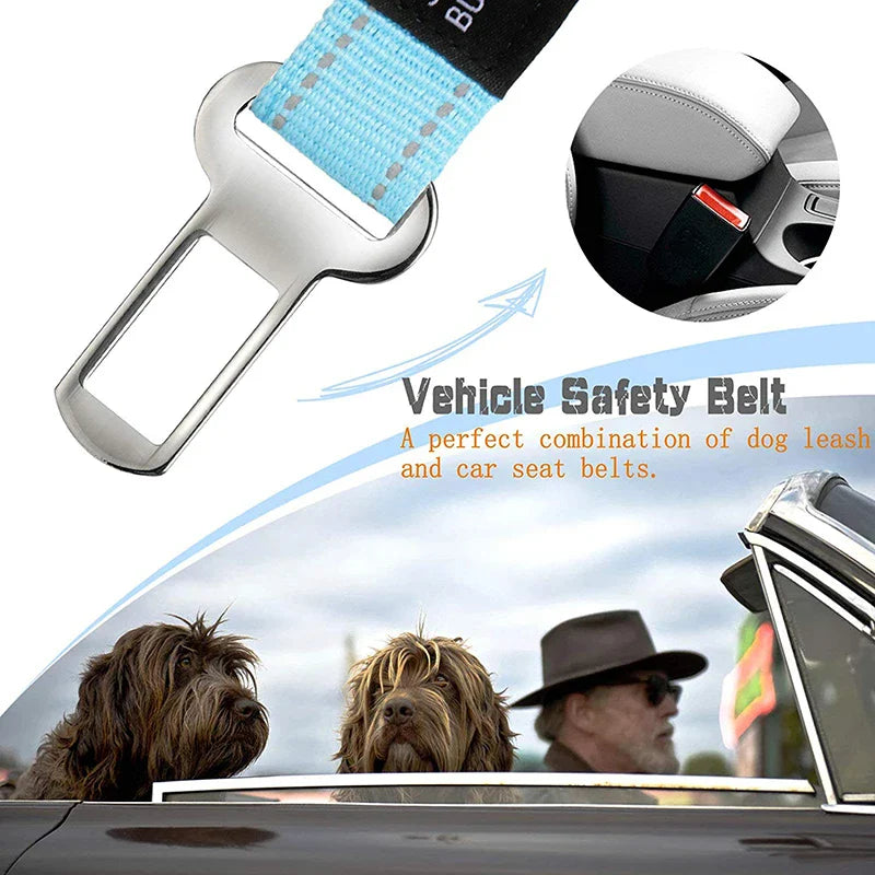 Bungee Dog Leash (Training, Shock Absorb)
