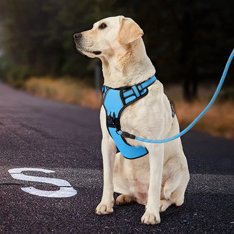 No Pull Reflective Dog Harness