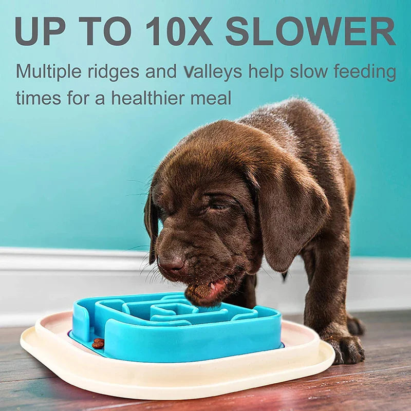 No-Spill Slow Feed Dog Bowls