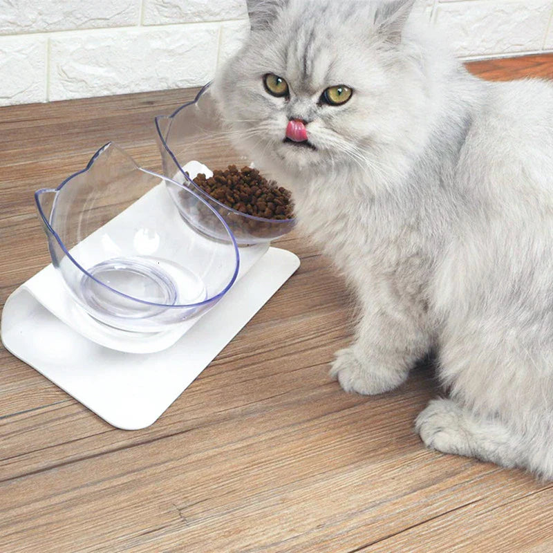 Raised Double Cat Bowl with Stand