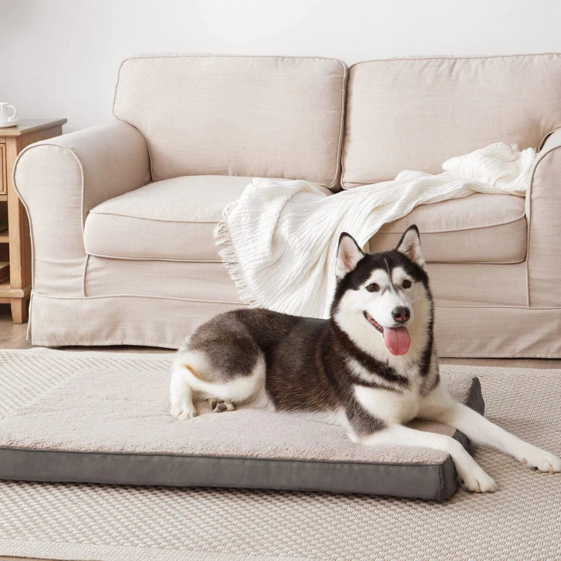 Durable, Comfy, Removable Cover Dog Bed