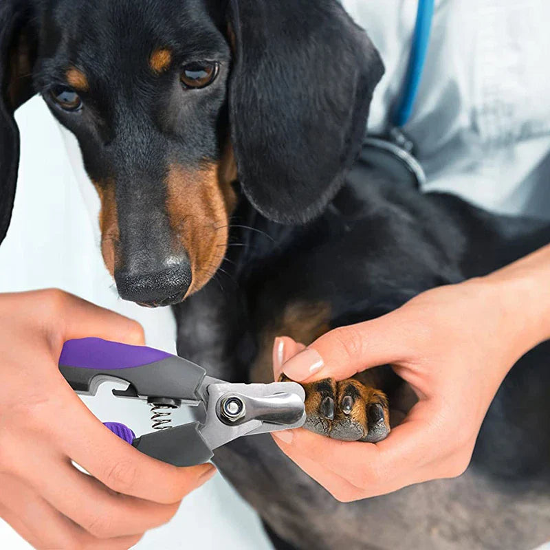 Dog Clipper with Nail File and Safety Guard