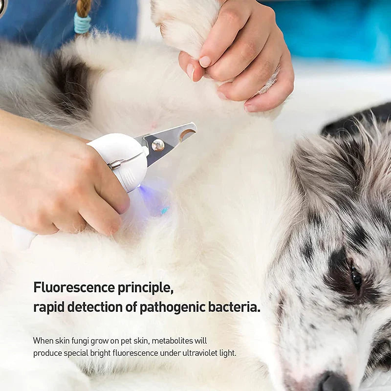 Nail Clippers with LED Light for Cats & Dogs