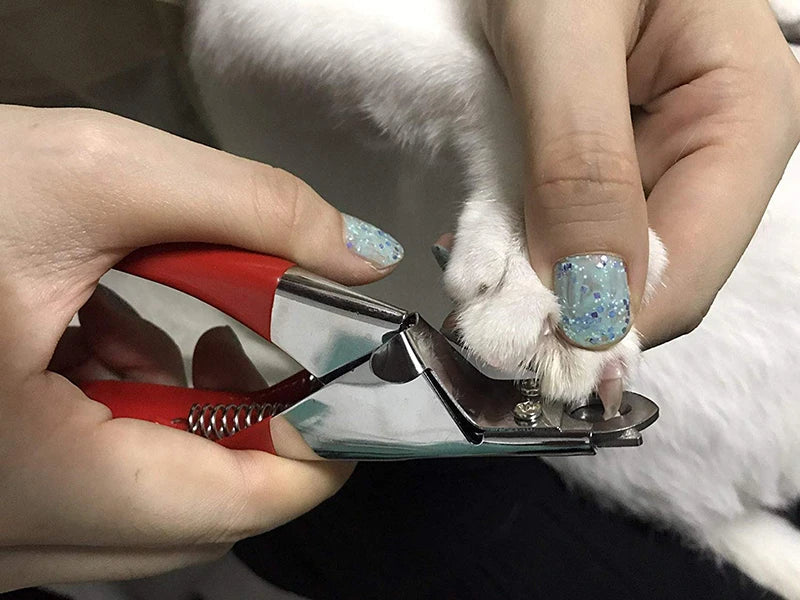 Stainless Steel Professional Pet Nail Clippers