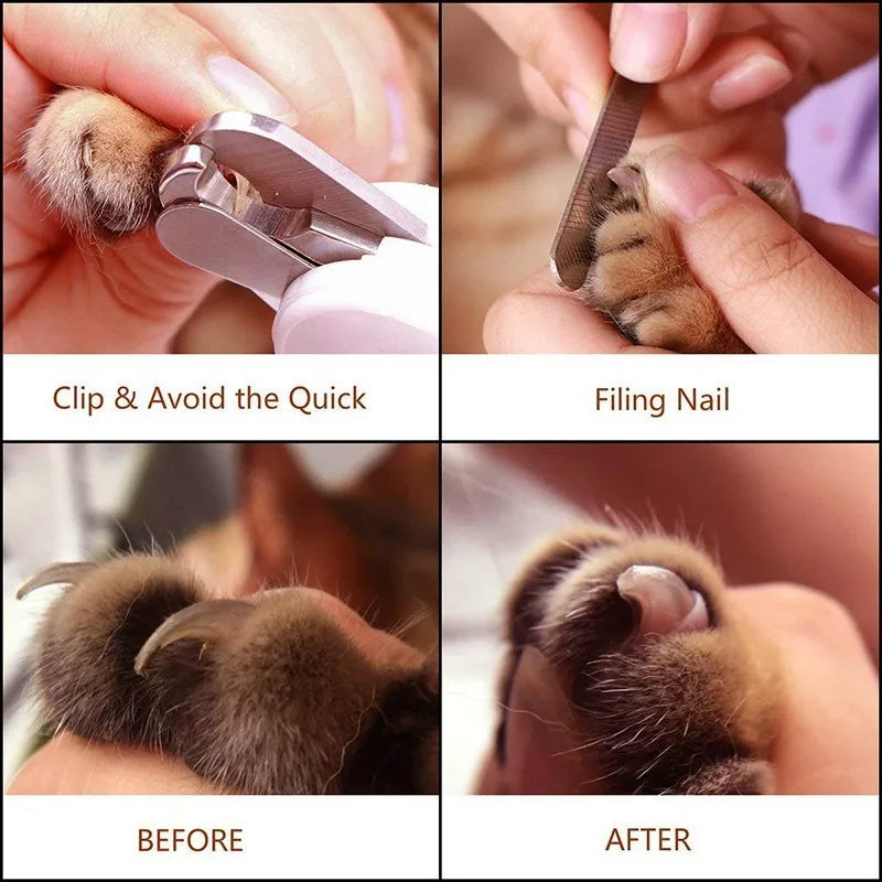 Safe and Comfortable Dog Nail Clippers with File