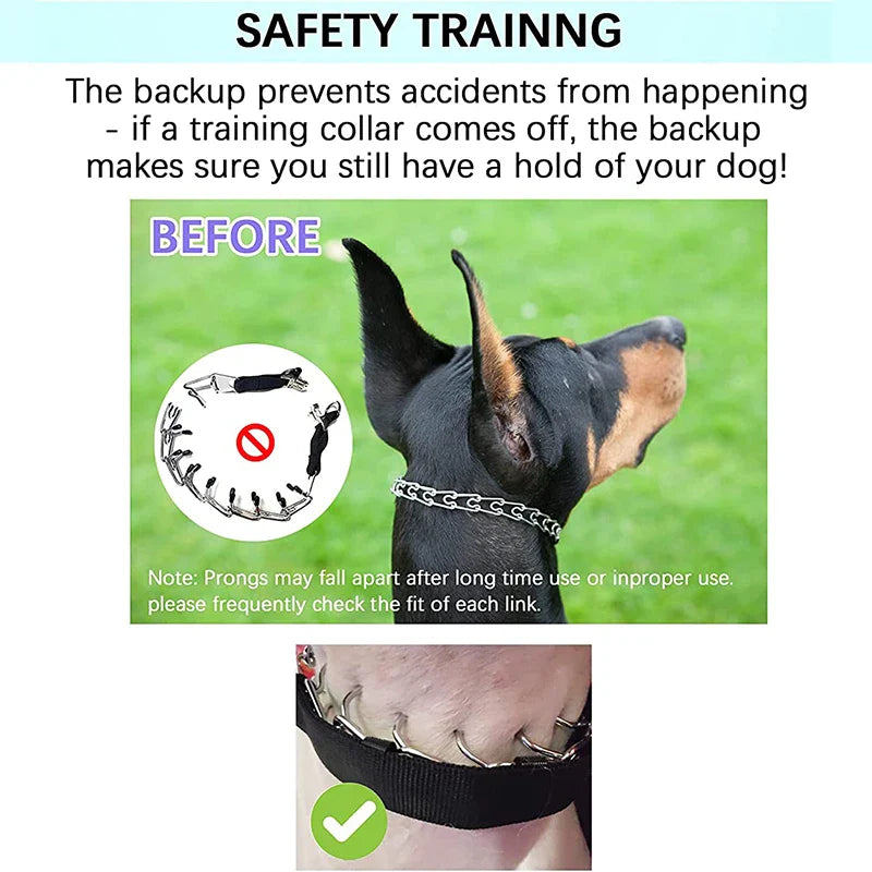 Prong Dog Training Collar